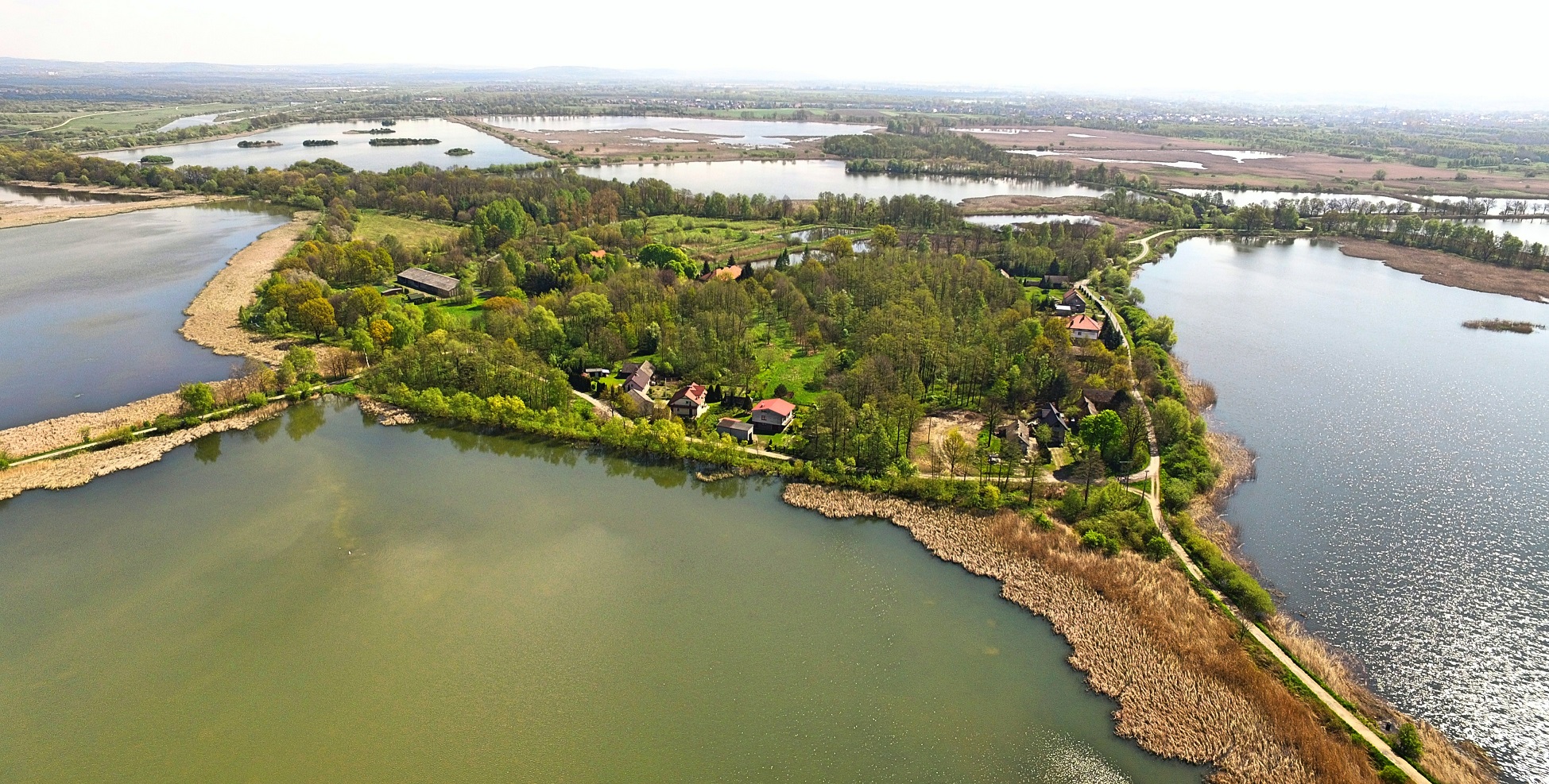 Kompleks stawów Przyręb