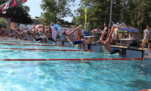 zawodnicy wskakujący do basenu na zawodach pływackich