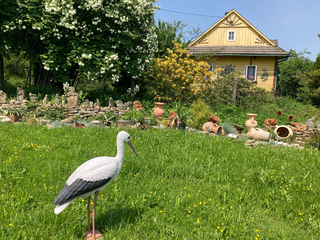 muzeum rodziny Magirów - drewniany domek w środku ogrodu. Na pierwszym planie pojawia się figura bociana