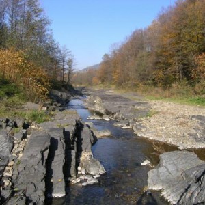 Przełom potoku Rzyczanka - Czarne Łupki Wierzowskie