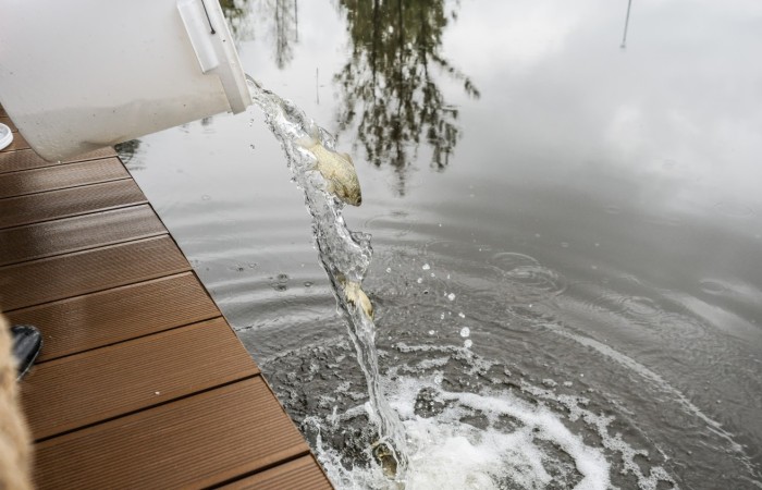 Uczestnicy Biegu po serce Zbója