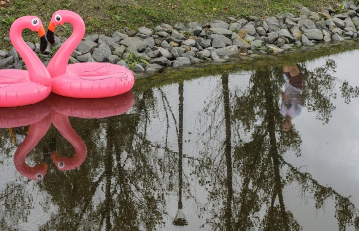 Uczestnicy Biegu po serce Zbója